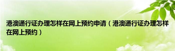 港澳通行证办理怎样在网上预约申请（港澳通行证办理怎样在网上预约）