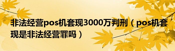 非法经营pos机套现3000万判刑（pos机套现是非法经营罪吗）