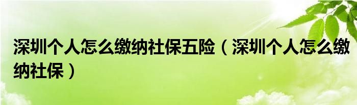 深圳个人怎么缴纳社保五险（深圳个人怎么缴纳社保）