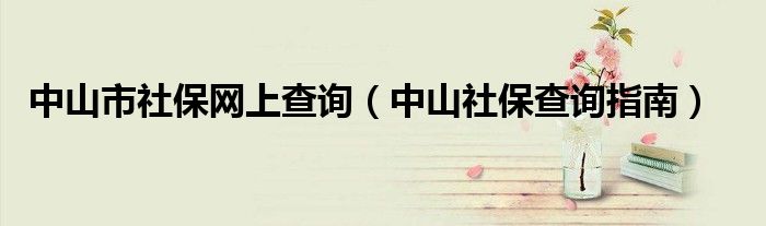 中山市社保网上查询（中山社保查询指南）