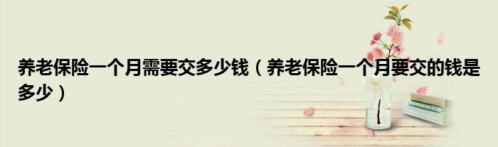 养老保险一个月需要交多少钱（养老保险一个月要交的钱是多少）