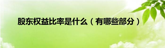 股东权益比率是什么（有哪些部分）