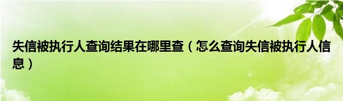 失信被执行人查询结果在哪里查（怎么查询失信被执行人信息）