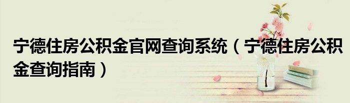 宁德住房公积金官网查询系统（宁德住房公积金查询指南）