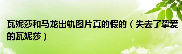 瓦妮莎和马龙出轨图片真的假的（失去了挚爱的瓦妮莎）