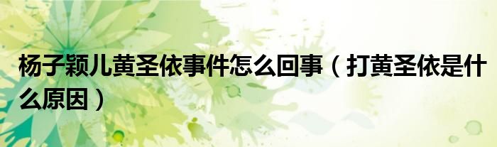 杨子颖儿黄圣依事件怎么回事（打黄圣依是什么原因）