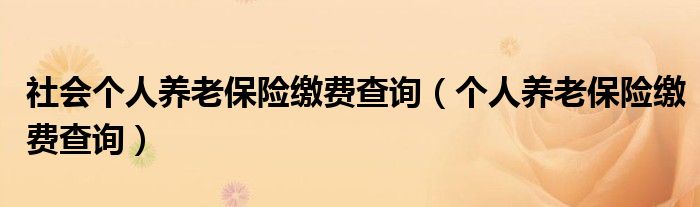 社会个人养老保险缴费查询（个人养老保险缴费查询）