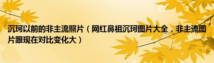 沉珂以前的非主流照片（网红鼻祖沉珂图片大全，非主流图片跟现在对比变化大）