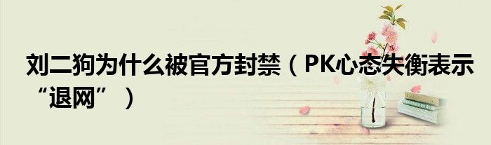 刘二狗为什么被官方封禁（PK心态失衡表示“退网”）