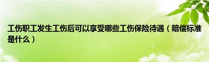 工伤职工发生工伤后可以享受哪些工伤保险待遇（赔偿标准是什么）