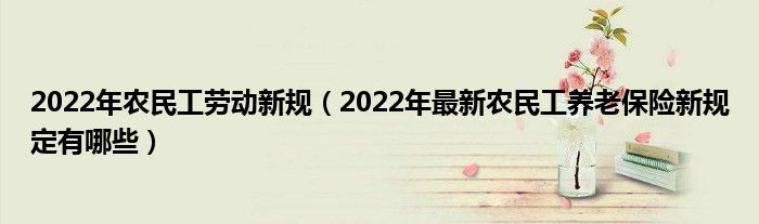 2022年农民工劳动新规（2022年最新农民工养老保险新规定有哪些）