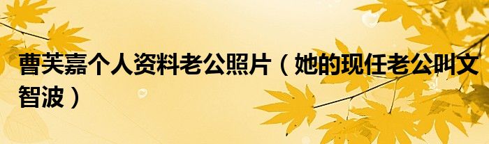 曹芙嘉个人资料老公照片（她的现任老公叫文智波）
