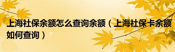 上海社保余额怎么查询余额（上海社保卡余额如何查询）