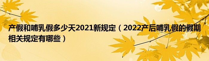 产假和哺乳假多少天2021新规定（2022产后哺乳假的假期相关规定有哪些）