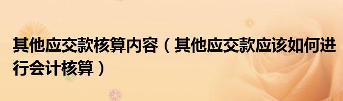 其他应交款核算内容（其他应交款应该如何进行会计核算）