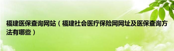 福建医保查询网站（福建社会医疗保险网网址及医保查询方法有哪些）