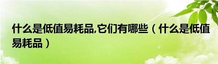 什么是低值易耗品,它们有哪些（什么是低值易耗品）