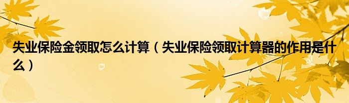 失业保险金领取怎么计算（失业保险领取计算器的作用是什么）