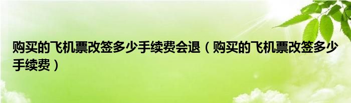 购买的飞机票改签多少手续费会退（购买的飞机票改签多少手续费）