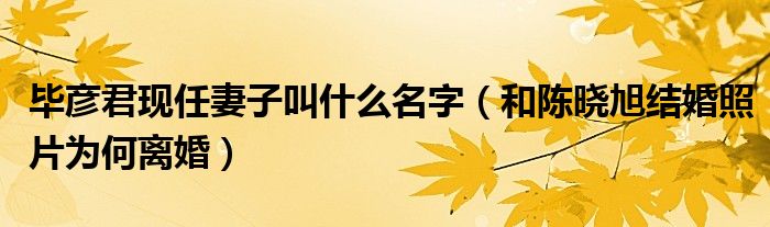 毕彦君现任妻子叫什么名字（和陈晓旭结婚照片为何离婚）