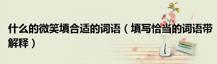 什么的微笑填合适的词语（填写恰当的词语带解释）