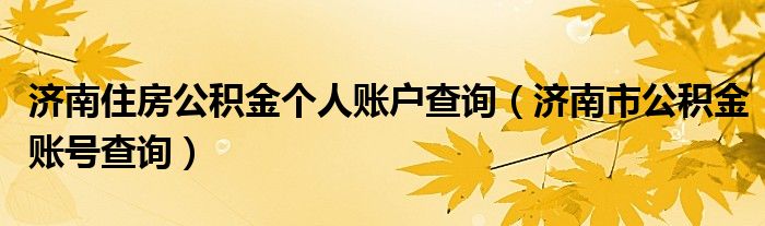 济南住房公积金个人账户查询（济南市公积金账号查询）