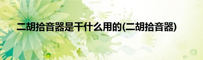 二胡拾音器是干什么用的(二胡拾音器)