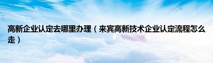 高新企业认定去哪里办理（来宾高新技术企业认定流程怎么走）