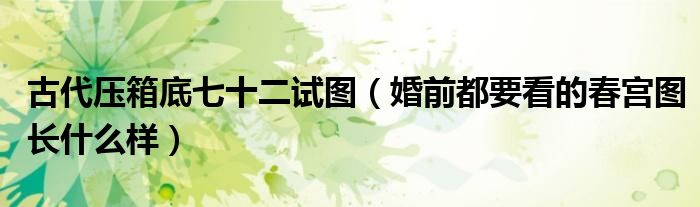 古代压箱底七十二试图（婚前都要看的春宫图长什么样）
