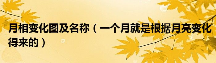 月相变化图及名称（一个月就是根据月亮变化得来的）