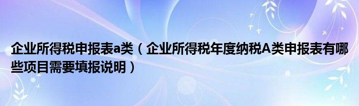 企业所得税申报表a类（企业所得税年度纳税A类申报表有哪些项目需要填报说明）