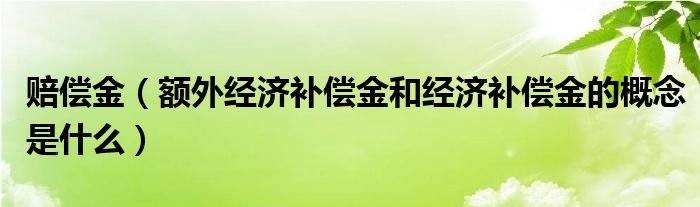 赔偿金（额外经济补偿金和经济补偿金的概念是什么）