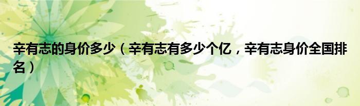 辛有志的身价多少（辛有志有多少个亿，辛有志身价全国排名）