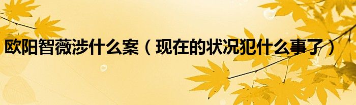 欧阳智薇涉什么案（现在的状况犯什么事了）