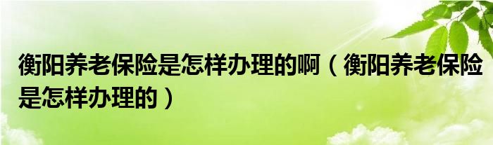 衡阳养老保险是怎样办理的啊（衡阳养老保险是怎样办理的）
