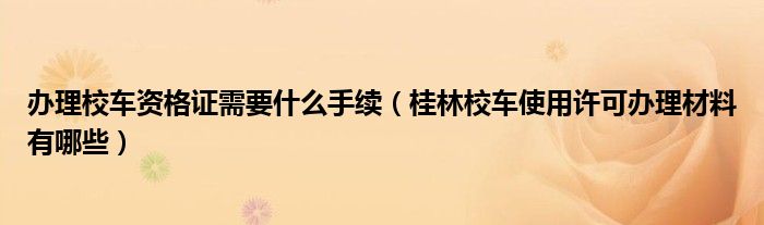 办理校车资格证需要什么手续（桂林校车使用许可办理材料有哪些）