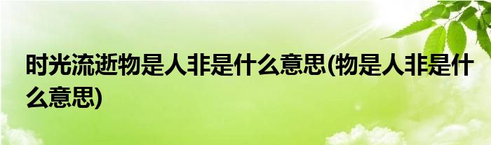 时光流逝物是人非是什么意思(物是人非是什么意思)