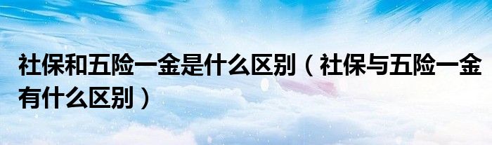 社保和五险一金是什么区别（社保与五险一金有什么区别）
