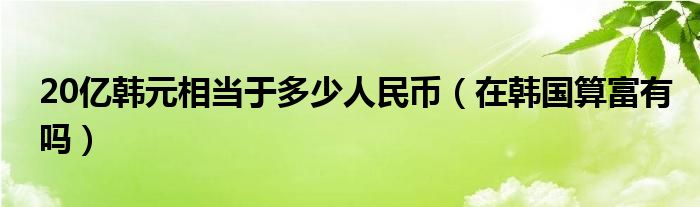 20亿韩元相当于多少人民币（在韩国算富有吗）