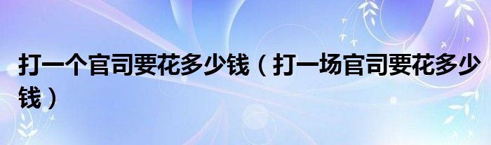 打一个官司要花多少钱（打一场官司要花多少钱）