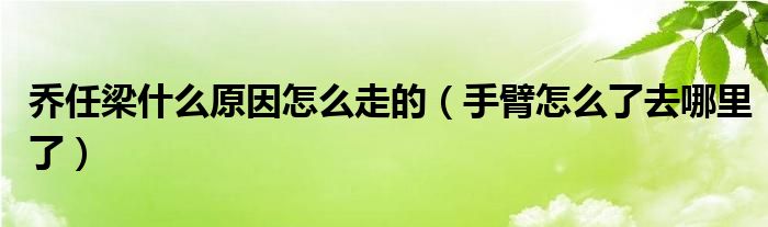 乔任梁什么原因怎么走的（手臂怎么了去哪里了）