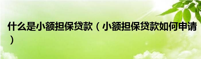 什么是小额担保贷款（小额担保贷款如何申请）