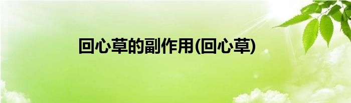 回心草的副作用(回心草)