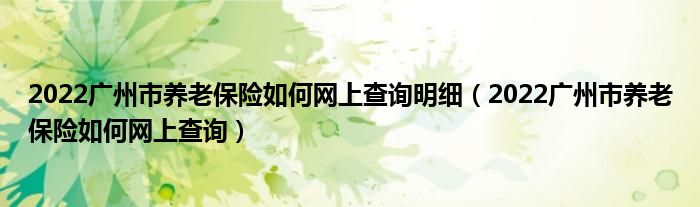 2022广州市养老保险如何网上查询明细（2022广州市养老保险如何网上查询）
