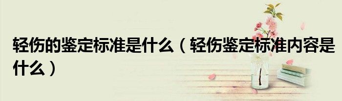 轻伤的鉴定标准是什么（轻伤鉴定标准内容是什么）