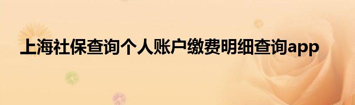 上海社保查询个人账户缴费明细查询app