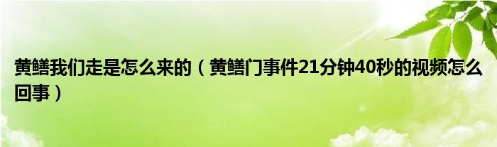 黄鳝我们走是怎么来的（黄鳝门事件21分钟40秒的视频怎么回事）
