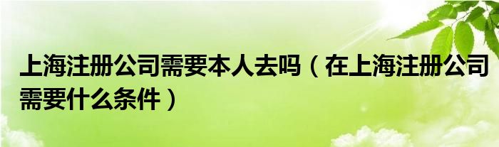 上海注册公司需要本人去吗（在上海注册公司需要什么条件）