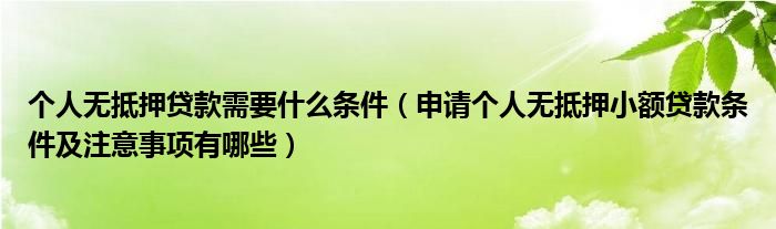 个人无抵押贷款需要什么条件（申请个人无抵押小额贷款条件及注意事项有哪些）