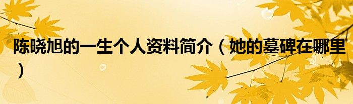 陈晓旭的一生个人资料简介（她的墓碑在哪里）